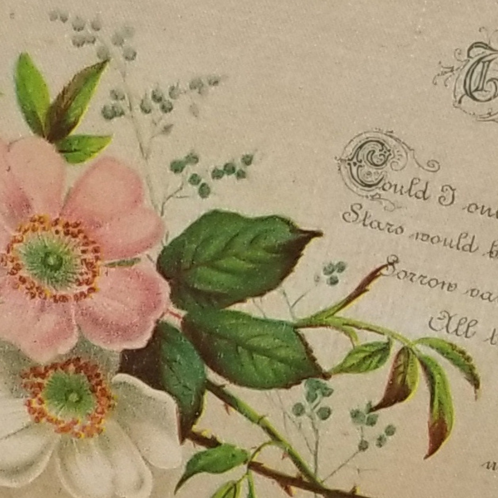 Meet your Posher, Cherri